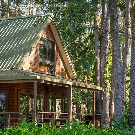 Buddha'S Bungalow Byron Bay Exterior foto
