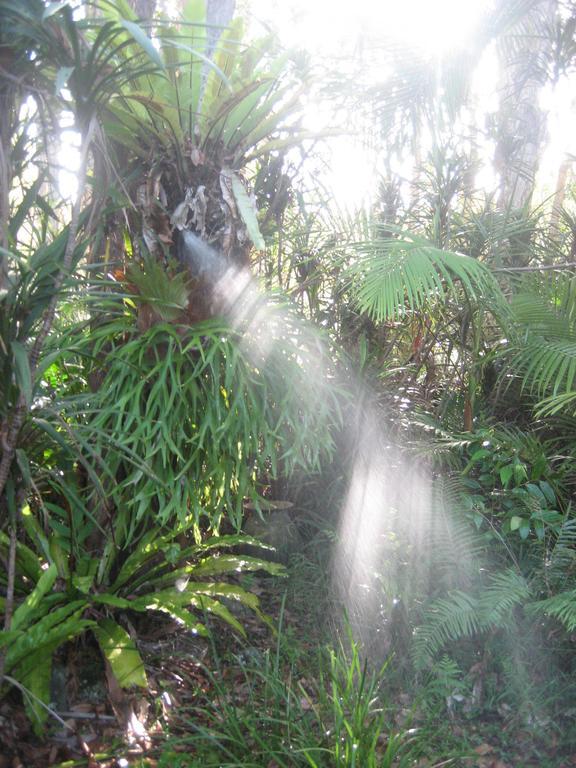 Buddha'S Bungalow Byron Bay Quarto foto